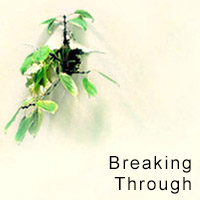 Breaking Through